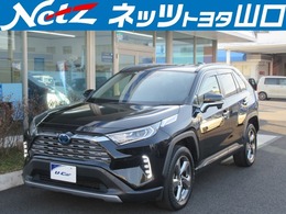 トヨタ RAV4 2.5 ハイブリッド G E-Four 4WD フルセグナビ　ETC装備