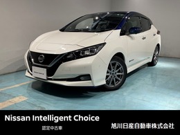 日産 リーフ e+ G アラウンドビュー