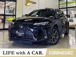 レクサス UX 200 Fスポーツ 純正ナビ・TV　ドラレコ　ETC　全周囲カメ