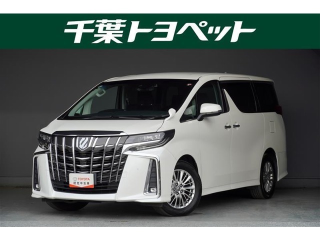 【メイン】　千葉・茨城・埼玉・東京・神奈川での登録、及びご来店いただける方への販売に限らせていただきます。