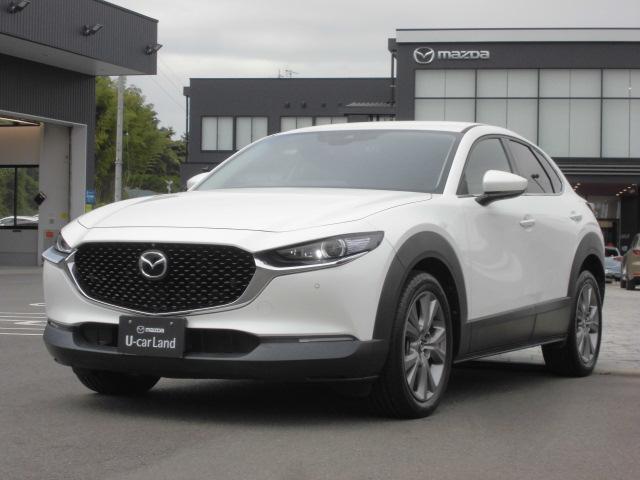 黒レザー内装、360ビューカメラ、ナビ、カープレイ＆アンドロイドオート、電動シート、シートヒーター、レーダークルーズ、衝突被害軽減ブレーキ、レーンキープ、アダプティブヘッドライト。