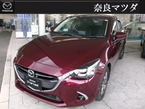 15Sミストマルーン