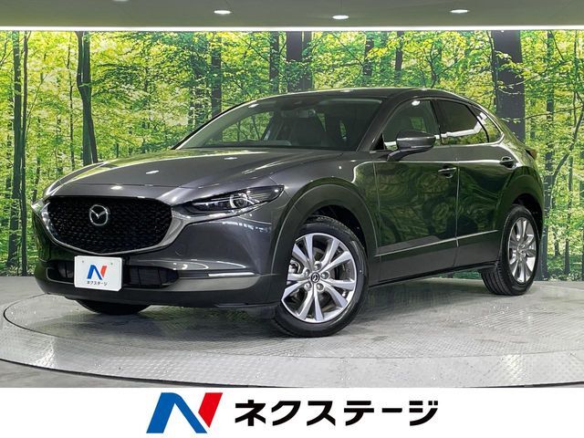 禁煙車　6MT　8.8インチ純正SDナビ　バックカメラ　衝突被害軽減