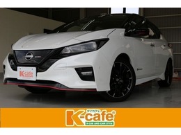 日産 リーフ NISMO SOH99　バックカメラ　サイドカメラ　ナビ