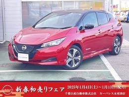 日産 リーフ X Vセレクション 日産メーカーナビAVMETCLED