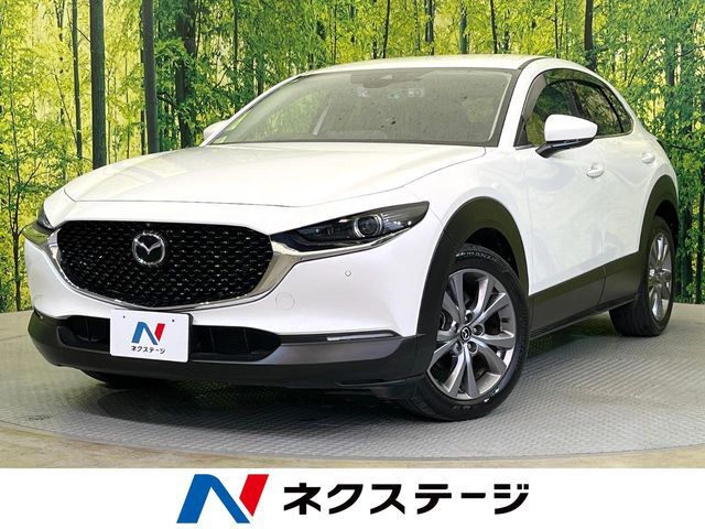 禁煙車　メーカーナビ　全周囲カメラ　ETC　ドライブレコーダー
