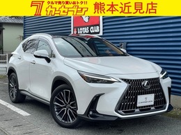 レクサス NX 250 バージョンL 4WD マクレビ/サンルーフ/全方位カメラ/ナビ