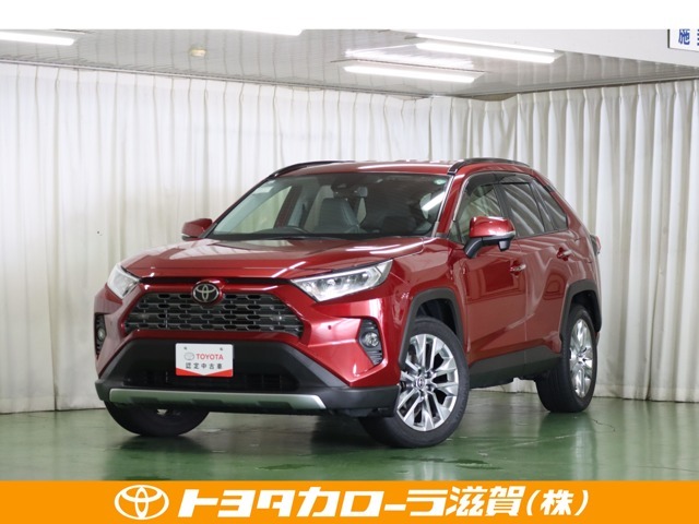 キリッと凛々しいフロントスタイル☆
