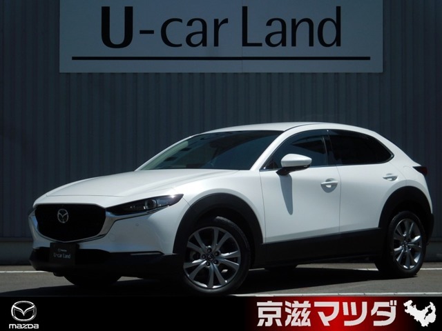 【マツダデザイン】　クルマを単なる移動手段だけでは終わらせない。それ自体に魂が宿った様な、躍動感溢れるボディ造形を目指しました。