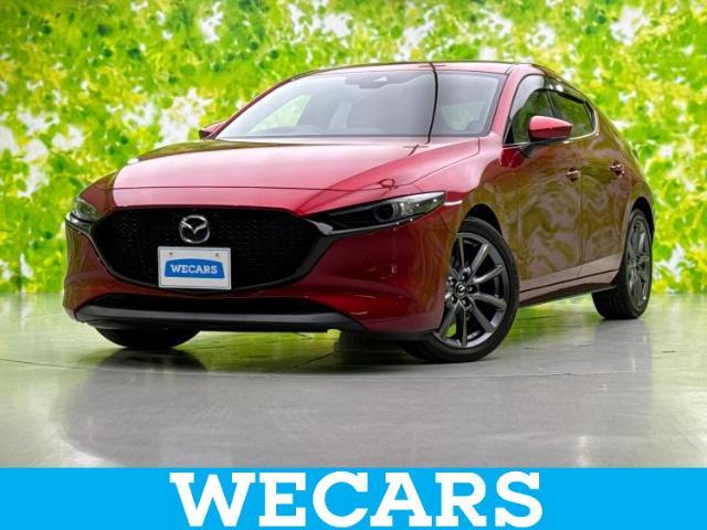 WECARS（ウィーカーズ）は全国250店舗展開！お客様が安心してカーライフをお楽しみいただけるよう社員一同心を込めてサポートいたします。