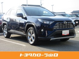 トヨタ RAV4 2.0 G 4WD ナビ TV Bカメラ クルコン LED