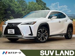レクサス UX 250h バージョンL 4WD サンルーフ 純正エアロ 純正10型ナビ ETC