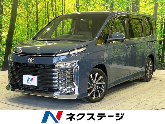 純正10型ナビ　バックカメラ　セーフティセンス　レーダークルーズ