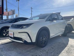 BYD BYDドルフィン ベースモデル 