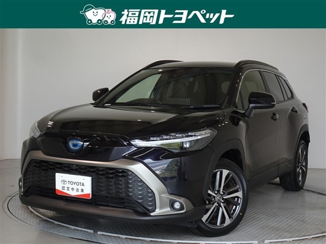 福岡県内お住まいの方に限らせていただきます。問い合わせ番号【8308061】