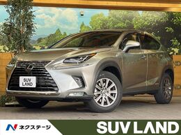 2018年式　レクサスNX　　
純正フェンダーアーチモール レクサス NX(2018年8月モデル) の新車情報・カタログ - carview