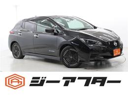 日産 リーフ X Vセレクション ナビ 全周囲カメラ プロパイロット 地デジ