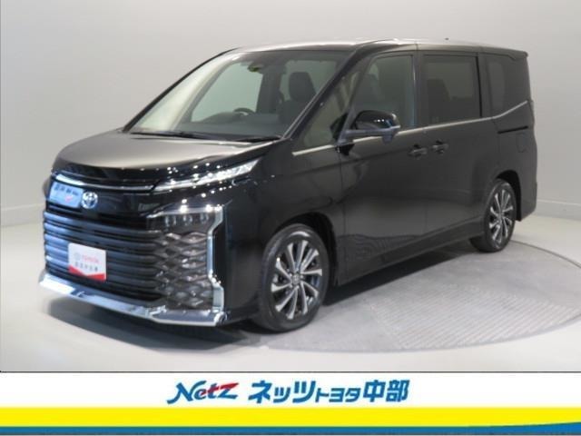 オールシーズン大活躍のミニバンです。　人もたくさん乗せられ、荷物もたくさん積め、この車を中心に色々な楽しみが増えることでしょう。