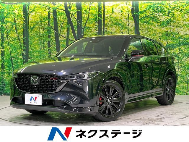 電動リアゲート　レザーシート　コーナーセンサー　スマートキー
