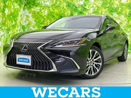 レクサス ES 300h サンルーフ/ディスプレイオーディオ+ナビ12