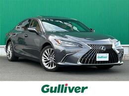 レクサス ES 300h バージョンL サンルーフ 純正ナビ 全周囲カメラ BSM ETC