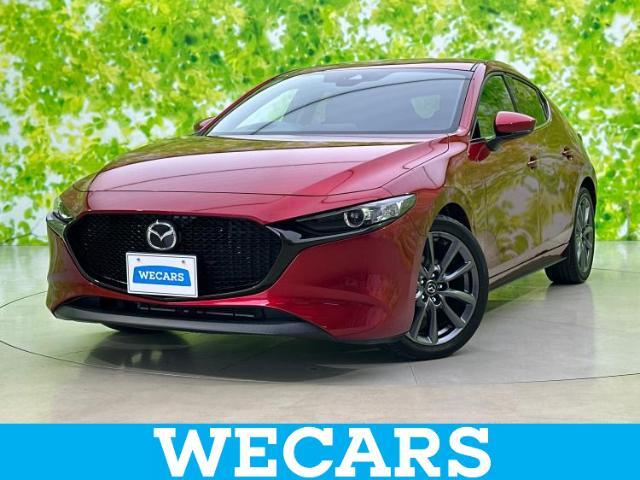 WECARS（ウィーカーズ）は全国250店舗展開！お客様が安心してカーライフをお楽しみいただけるよう社員一同心を込めてサポートいたします。