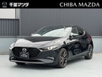 2.0 X ツーリング バーガンディレザーパッケージ 4WD