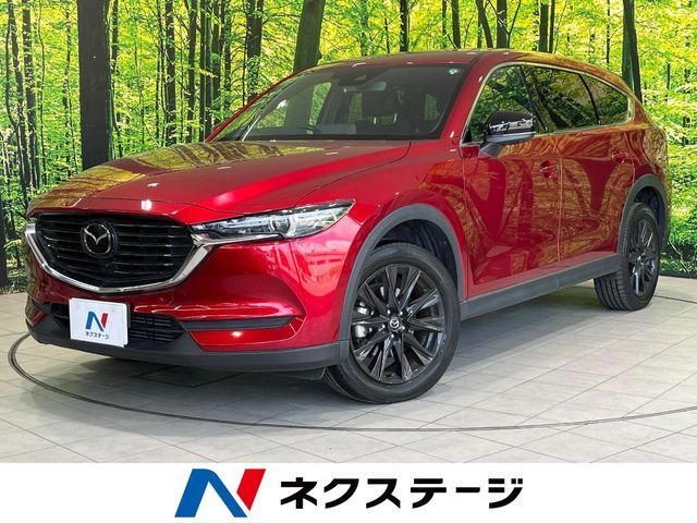 全周囲カメラ　BOSE　衝突被害軽減　ターボ　BSM　レーダークルーズ