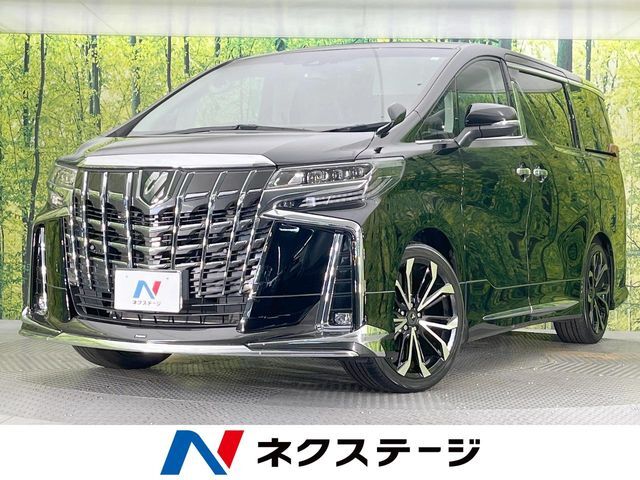 サンルーフ　モデリスタエアロ　フリップダウンモニター　純正9型ナビ付DA