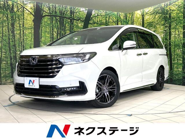 アダプティブクルーズ　パワーバックドア　ハーフレザー　ETC　ドラレコ