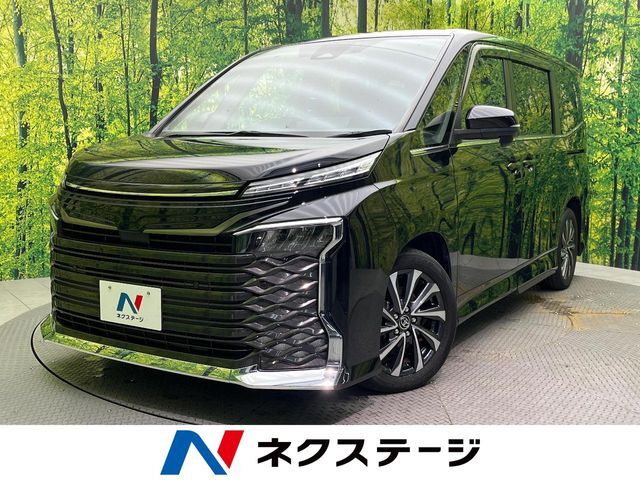 両側電動ドア　純正10型ナビ　後席モニター　バックカメラ