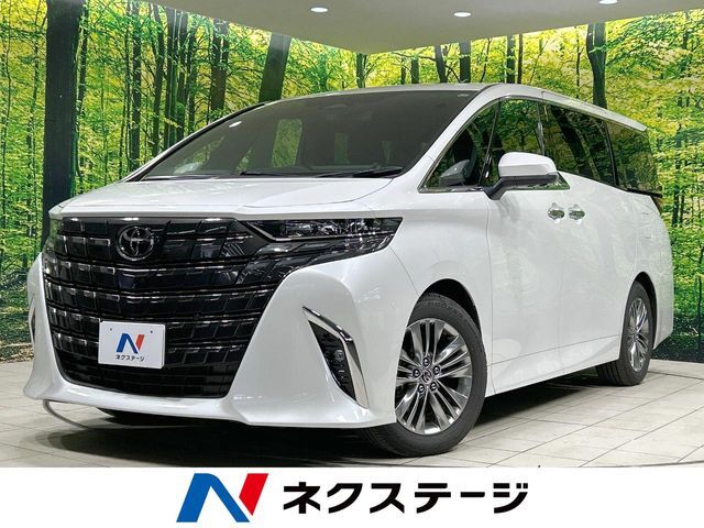 左右独立ガラスルーフ　両側電動ドア　後席モニター　全周囲カメラ　衝突被害
