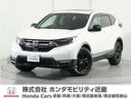 2.0 e:HEV EX ブラック エディション 4WD