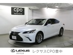 300h バージョンL