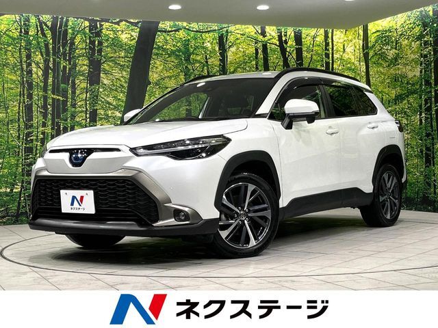 バックカメラ　寒冷地仕様　衝突軽減　禁煙車　電動リアゲート　ETC