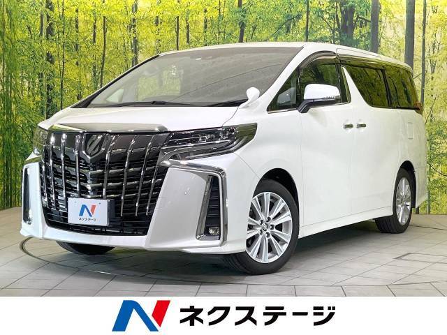 フリップダウンモニター　純正9型ナビ　バックカメラ