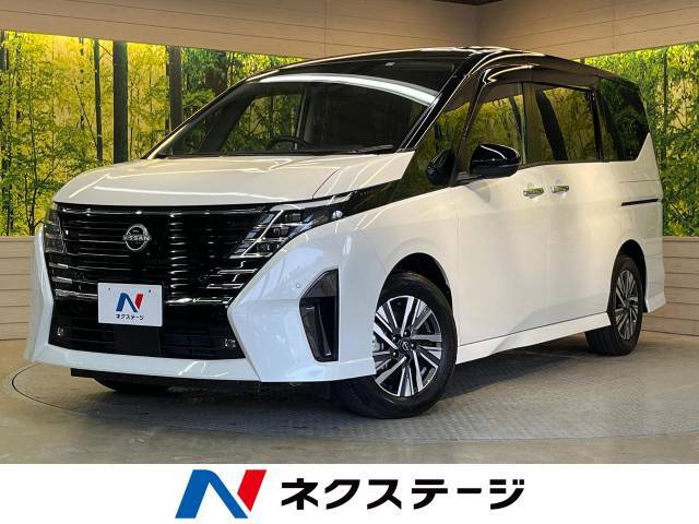 純正12.3型ナビ　全周囲カメラ　ハンズフリー機能付両替電動スライドドア