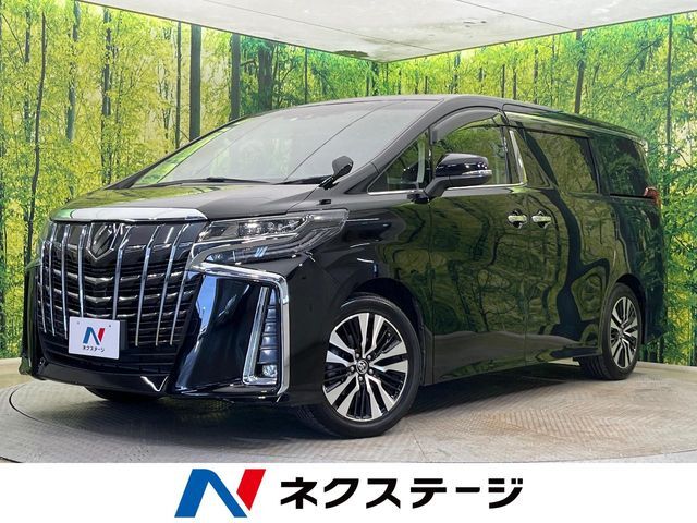 純正9型ディスプレイ　バックカメラ　両側電動ドア　電動リアゲート