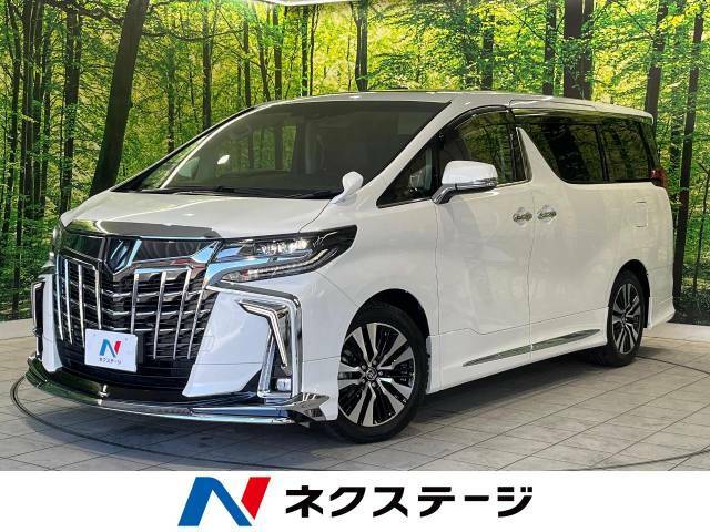 ツインムーンルーフ　モデリスタエアロ　純正9型ナビ　後席モニター　禁煙車