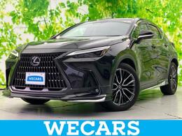 レクサス NX 250 バージョンL 4WD サンルーフ/純正エアロ/純正 SDナビ/衝突安