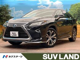 レクサス RX 300 バージョンL サンルーフ 全周囲カメラ