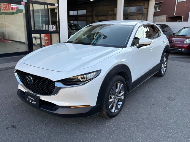 cx-30が入庫いたしました。ご検討宜しくお願い致します。