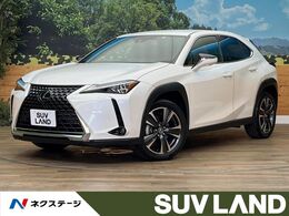 レクサス UX 250h バージョンL 4WD 10型純正ナビ 全周囲カメラ 革シート ETC