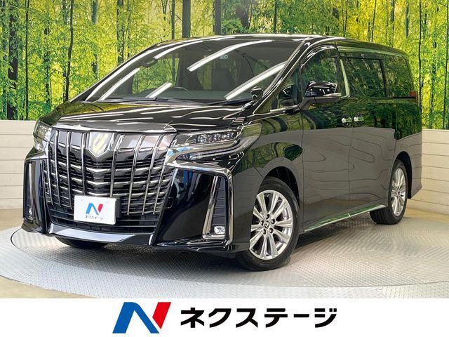 特別仕様　純正9型ナビ　CD/DVDデッキ　バックカメラ　両側電動ドア
