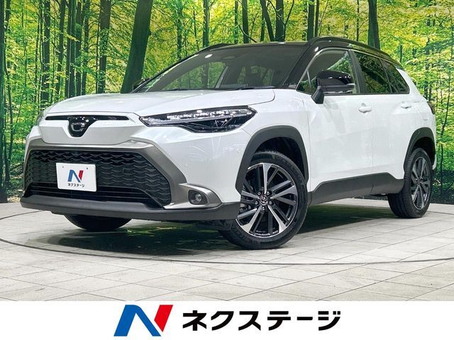 純正10.5型ナビ　全周囲カメラ　レーダークルーズ　禁煙　電動リアゲート