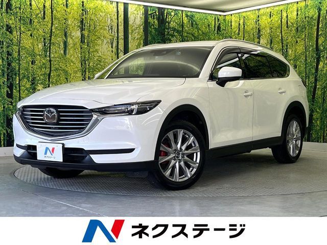 【8/8～8/17限定価格】