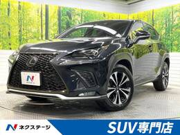 レクサス NX 300 Fスポーツ メーカーナビ ブラインドスポット