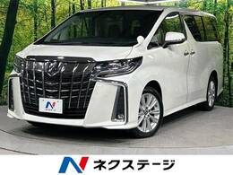 トヨタ アルファード 2.5 S Aパッケージ 4WD 寒冷地仕様　純正10型ナビ　両側電動ドア