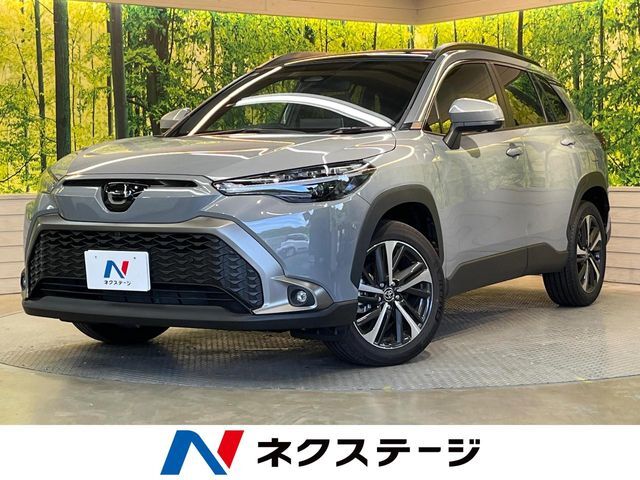 純正10型ナビ　ガラスルーフ　全周囲カメラ　ブラインドスポットモニター