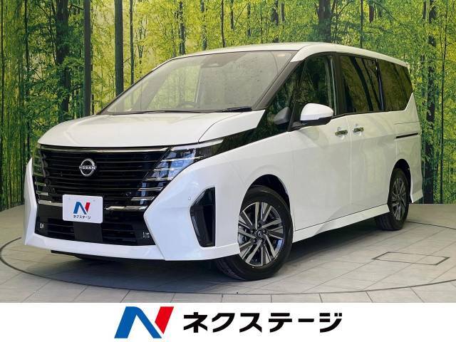 両側電動スライド　純正12.3型ナビ　全周囲カメラ　プロパイロット